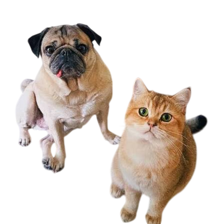 All Pet Peptides